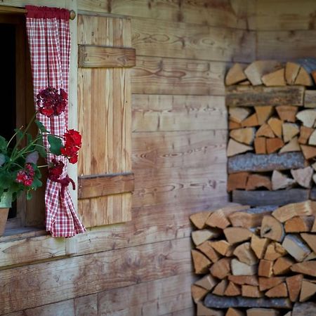 Saukaserstub'N Apartments - Ferienwohnung Schuetzkogel Γιόχμπεργκ Εξωτερικό φωτογραφία